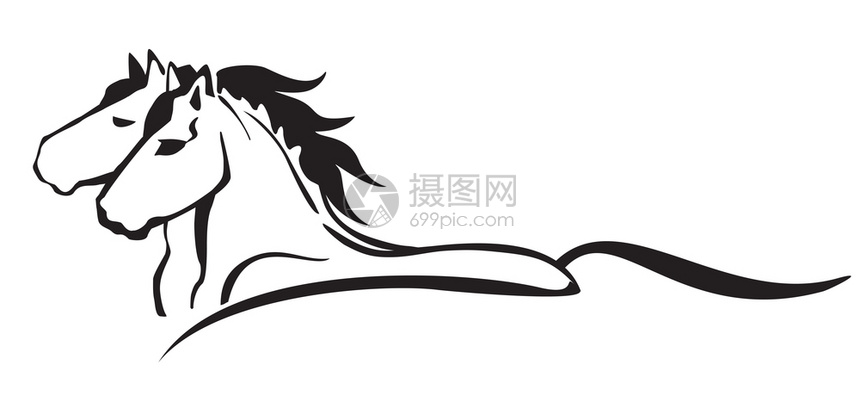 两匹跑马的特征简介中单色装饰肖像白背景上的黑矢量孤立图解标识设计和纹身图像图片