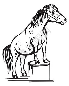 在树桩上立方的马单色装饰肖像训练小马矢量在白色背景上以黑颜进行孤立的插图设计和纹身的图像图片