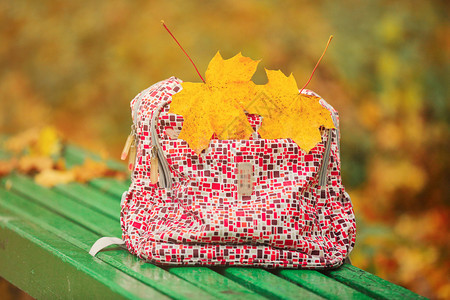 红背包站在绿长凳上红背包站在有叶子的公园长凳上有两个黄色的叶子回到学校图片