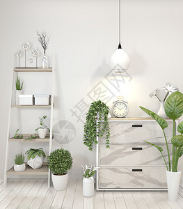 现代客厅的模拟花岗岩壁橱白色墙底的植物3d图片