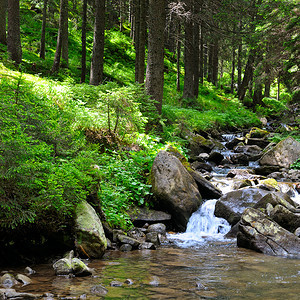 山地森林和前面的河流美丽景色图片