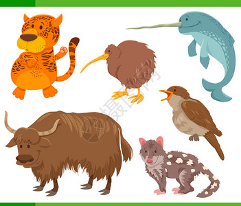 野生动物漫画插图图片