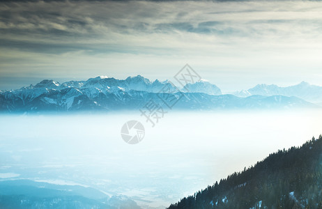 美丽的冬季风景日落雪覆盖树木图片