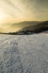 美丽的冬季风景日落雪覆盖树木图片