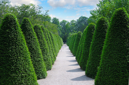 绿树灌木在城市公园地貌设计图片
