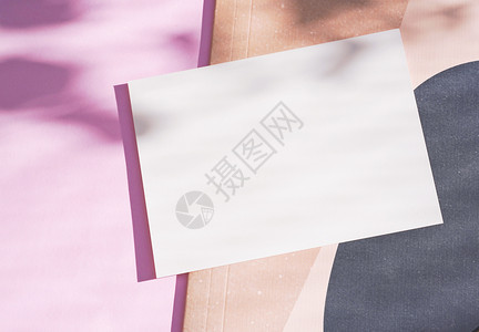 在粉红背景上贴品牌身份空白明信片用树叶植物的光和影子作为粉红背景设计上最小的概念图片