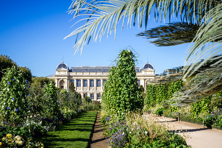 植物园和博物馆巴黎法国法国巴黎植物园和博物馆图片