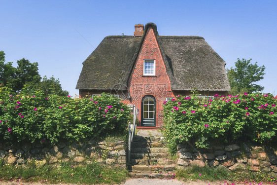 房子前面有红砖墙和高屋顶石花朵玫瑰丛图片