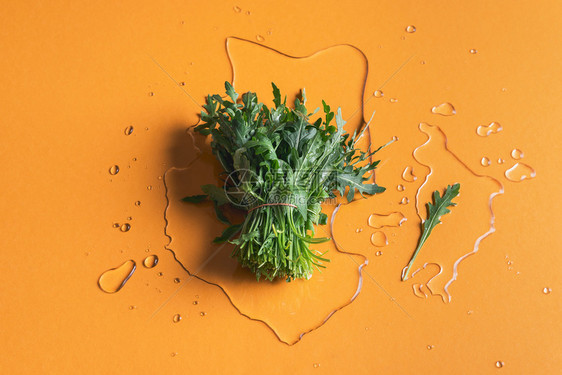arugl在橙色纸背景上捆绑在水新鲜收集的青树叶绿沙拉成分健康食品图片