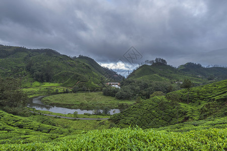 小型大坝和茶叶种植园穆纳尔卡拉因迪亚图片