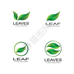 绿色叶的标志自然生态元素矢量图标图片