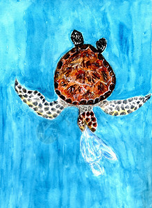 手画图解海洋中塑料废物环绕的小乌龟图片