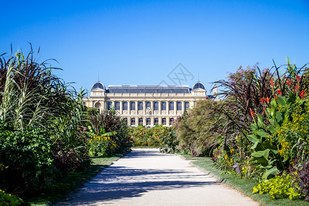 植物园和博物馆巴黎法国法国巴黎植物园和博物馆图片