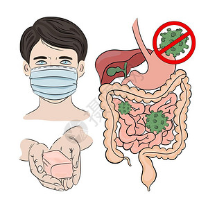 轮状病毒肠道病媒插画