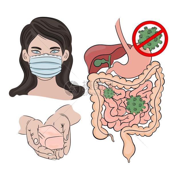 预防感染健康肠道病媒图片