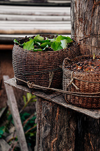 将竹篮用作农村家加特登庭装饰的植物锅图片