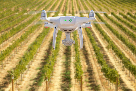 无人驾驶飞机在葡萄园农场上空中飞行背景图片