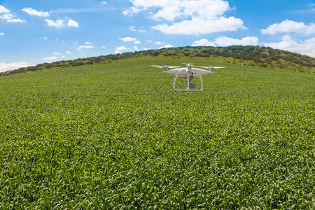 无人驾驶飞机越过农田并收集数据图片