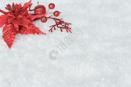 在白雪背景上装饰红薄荷花的圣诞节装饰有文字空间高清图片