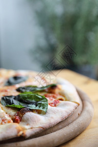 木本底的意大利披萨和西红柿图片