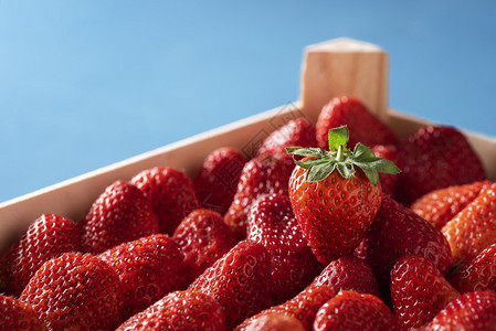 蓝底的木箱中新鲜采摘的草莓熟和绿叶美味的夏季甜食水果丰富多彩的高清图片素材