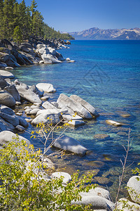 美丽明亮的塔霍湖水岸背景图片