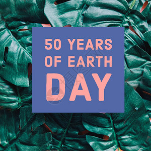 庆祝20年地球日5庆祝绿色植物背景概念拯救地球和生态友好图片