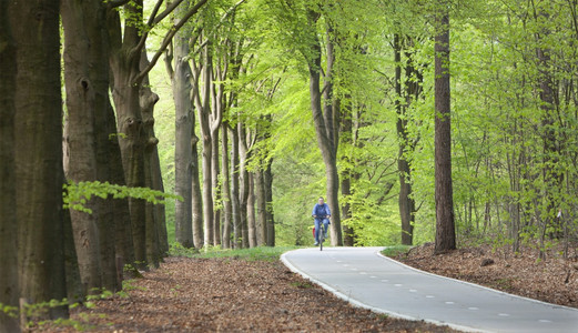 driebgnthrlands26april20蓝色妇女骑自行车春林骑自行车图片