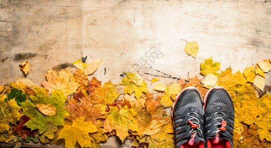 秋天风格叶运动鞋木制背景图片