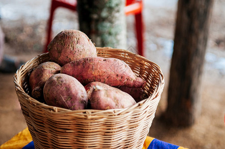 黑土豆木篮中的新鲜甜土豆或日本甘薯亚裔有机农业产品背景