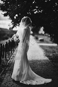 新娘肖像婚纱和发型时装新娘结婚日噪音和照片中的谷物图片
