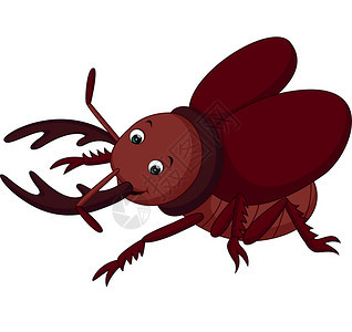 有趣的漫画甲虫图片