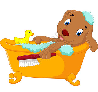 可爱小狗洗澡 图片