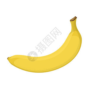 成熟香蕉矢量插图图片