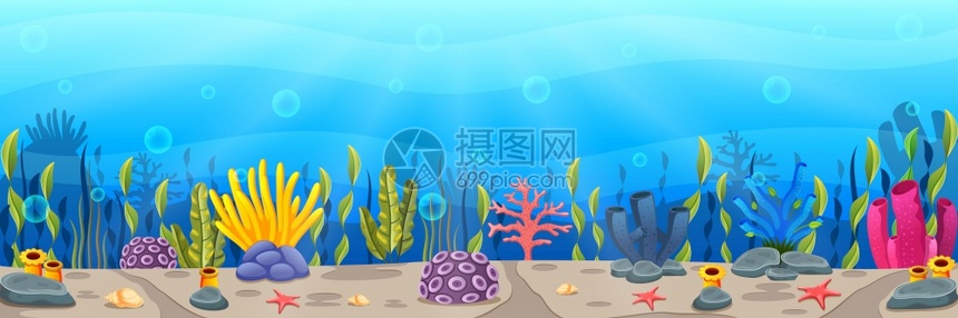 海底热带珊瑚礁图片