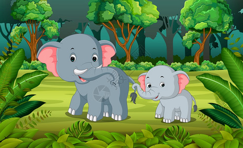 森林中的大象和小象图片