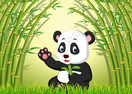 竹林里的两只可爱熊猫图片