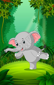 森林中的大象图片