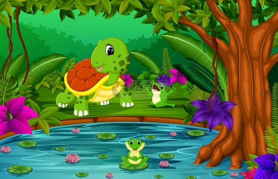 丛林中的乌龟和青蛙图片