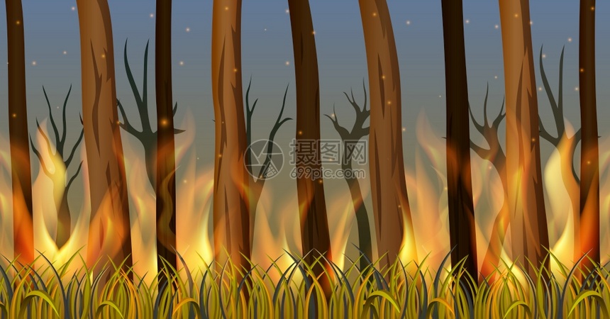 森林中的树木着火了