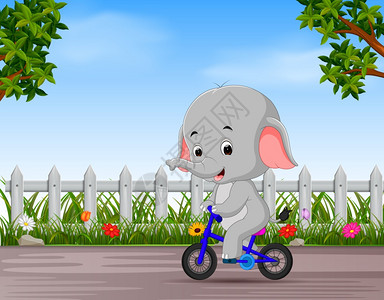 大象在路上骑自行车图片