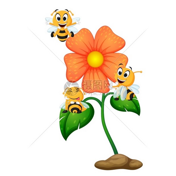 三只蜜蜂飞过一些花朵图片
