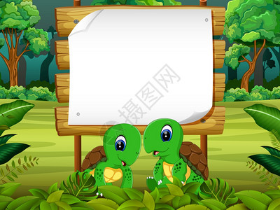 可爱乌龟森林背景上的木板空白图片