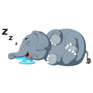 大象睡得安稳图片