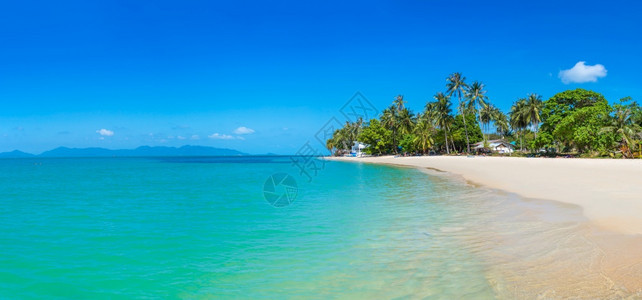 夏日在泰河沿岸的KohSamui岛有棕榈树的热带海滩图片