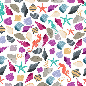 海洋生命彩色贝壳和海星元素背景图片