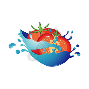 在水中的新鲜西红柿卡通矢量插图图片