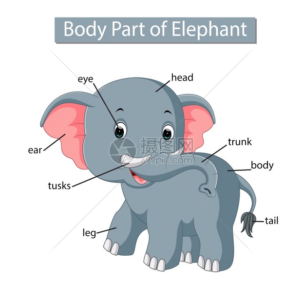 显示大象身体部分的图表