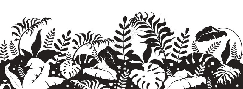 热带树叶黑浅色矢量图野生植物和草药装饰灌木和奇特的单色景观亚热带叶2D卡通形状图片