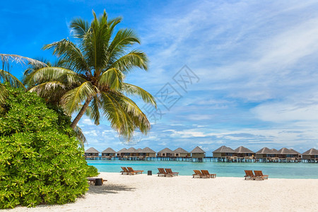 夏季日在热带海滩的病虫害中在热带海滩上用木制遮阳和雨伞图片